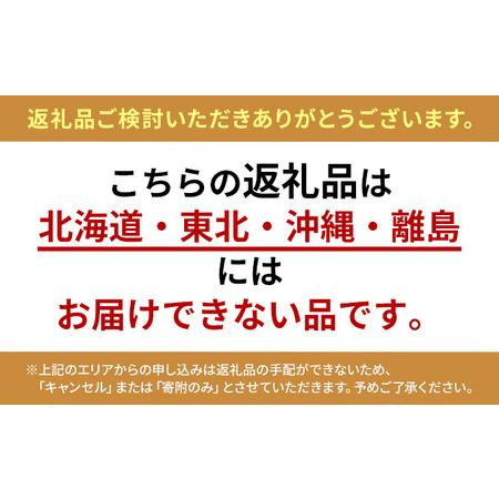 ふるさと納税 テングソース900-Bセット　お好み×8、半とん・ウスター×各2 広島 三原 中間醸造 お好み焼き 焼きそば たこ焼きとんかつ .. 広島県三原市｜furunavi｜02