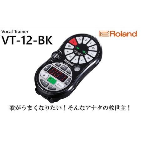ふるさと納税 【11月上旬お届け】【Roland】ボーカルトレーナー/VT-12