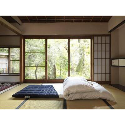 ふるさと納税 [大府市産お米2kg付]エアウィーヴ 四季布団 和匠・二重奏 ダブル エアウィーヴ 愛知県大府市