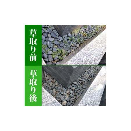 ふるさと納税 お墓参り代行／仏花の回収清掃付 宮城県石巻市_3
