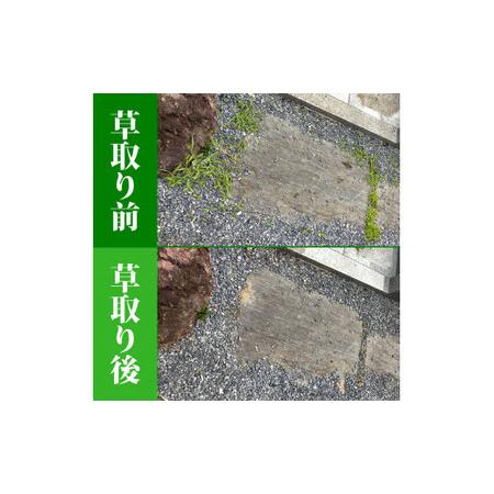 ふるさと納税 お墓参り代行／仏花の回収清掃付 宮城県石巻市_4