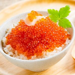 ふるさと納税 17-285 鱒いくら醤油漬け200g×2パック 合計400g 北海道紋別市の画像