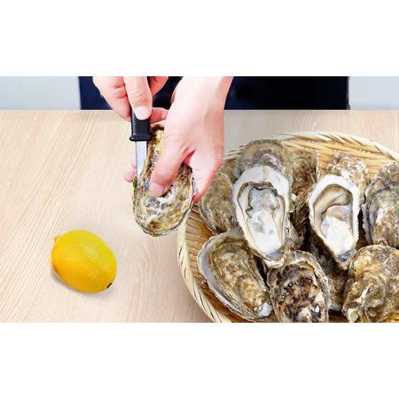 ふるさと納税 【 3ヶ月 定期便 】厚岸産 殻付き 牡蠣 Lサイズ ふるさと納税 【 3ヶ月 定期便 】厚岸産 殻付き 牡蠣 Lサイズ