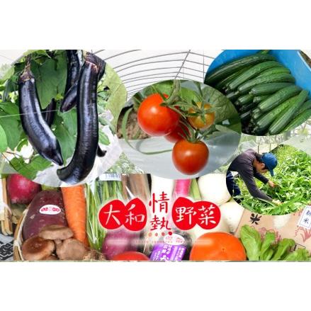 新しい到着 ふるさと納税 ブランド雑貨総合 大和情熱野菜の玉手箱 奈良県広陵町