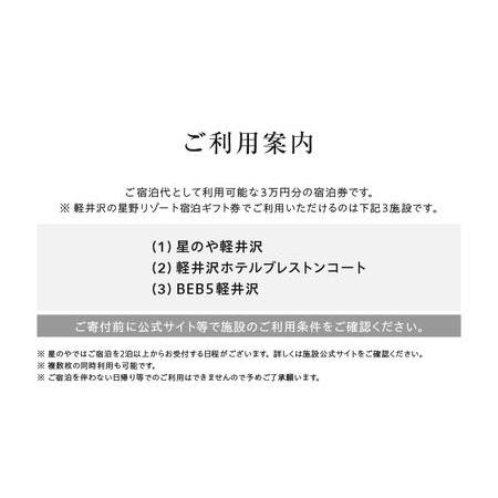 ふるさと納税 宿泊券 ホテル 軽井沢 星野リゾート 30,000円分 ギフト券 