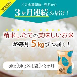 ふるさと納税 【定期便3ヶ月】米 5kg 青天の霹靂 青森県産 晴天 青森県