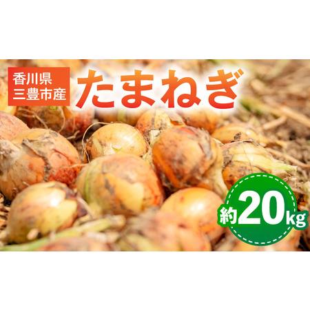 ふるさと納税 三豊市のたまねぎ 約20kg 香川県三豊市