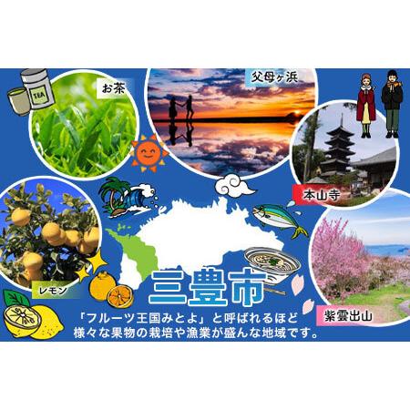 ふるさと納税 木の手あそび 2018年好ましい・手あそび賞勝ち得る くるま仕かける\u0026道仕かける 香川県三豊市