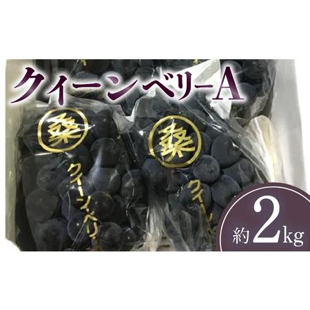 ふるさと納税 クイーンベリーA 約2kg 香川県三豊市