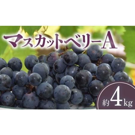 ふるさと納税 マスカットベリーA 約4kg 香川県三豊市