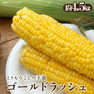 ふるさと納税 とうもろこし「ゴールドラッシュ」約4.5kg 香川県三豊市