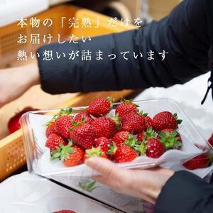 ふるさと納税 【2027年1月〜4月出荷分予約販売】★身近な人間関係のお祝いに★「完熟あまおう」3L〜4Lミックス詰め合わせ 900g入り 福岡県大川市_3