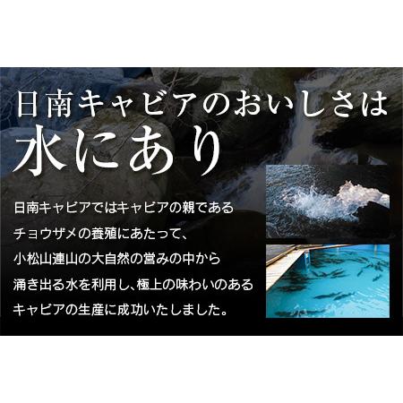 送料込 ふるさと納税 Da1 21 緊急支援品 期間 数量限定 日南caviar キャビア g 魚 魚介 宮崎県日南市 Wantannas Go Id
