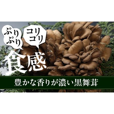 ふるさと納税 飛騨舞茸と佃煮のセット(飛騨舞茸 600g ・舞茸の佃煮 600g（100g×6袋））【60-1】 岐阜県下呂市_2