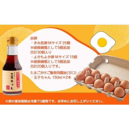 ふるさと納税 「きみ恋卵」と「よかもよか卵」のたまごかけご飯セット_12-2902_(都城市) きみ恋卵 よかもよか卵 Ｍサイズ たまごかけご飯専用醤.. 宮崎県都城市