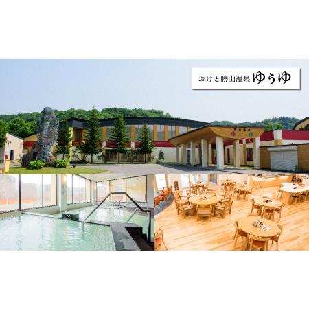 ふるさと納税 【何もない贅沢を】おけと勝山温泉ゆぅゆ入浴券12枚 北海道置戸町 