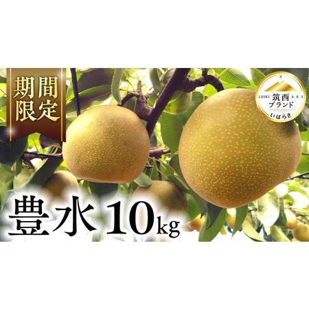 売り切り御免 ふるさと納税 期間限定 豊水 梨 10kg 令和4年8月中旬 発送 Ae011ci 茨城県筑西市 Bemaxarena Me