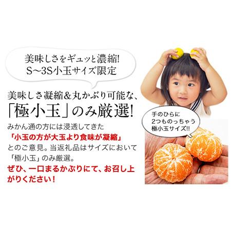 ふるさと納税 訳あり くまもと小玉みかん 約10kg みかん 熊本県長洲町