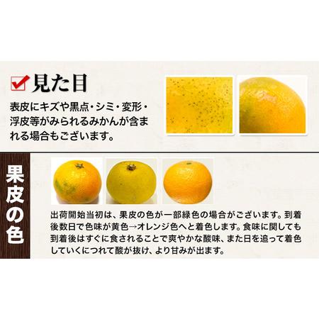 ふるさと納税 訳あり くまもと小玉みかん 約10kg みかん 熊本県長洲町