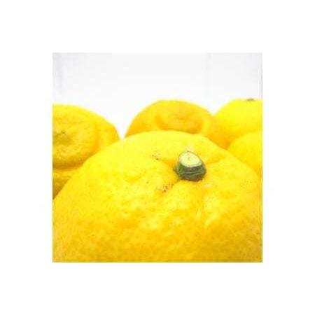 ふるさと納税 爽やか柑橘 はるかみかん(ご家庭用)約4.5kg ※2023年2月上旬〜3月下旬頃に順次発送予定 ※北海道・沖縄・離島への配送不可 和歌山県広川町|furunavi|03
