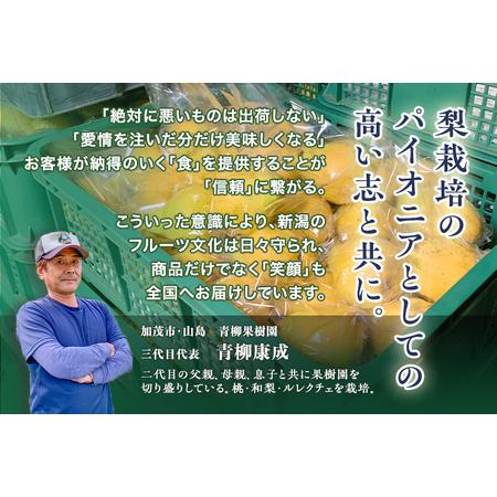 ふるさと納税 【2024年先行予約】新潟特産 幻の洋梨ル・レクチェ 贈答用 2kg（5〜7玉）《11月下旬以降順次発送》 果物 フルーツギフト 冬の味覚 .. 新潟県加茂市｜furunavi｜04