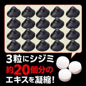 ふるさと納税 しじみ 「道の駅十三湖高原 貝活源G」 60g(200粒入)×1個 シジミ シジミエキス しじみエキス 青森県五所川原市の画像