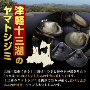 ふるさと納税 しじみ　貝活源G（ 60g(200粒入)×2箱）とシジミエキス21（100ml×40本）のセット（十三湖産ヤマトシジミ使用） 青森県五所川原市_2