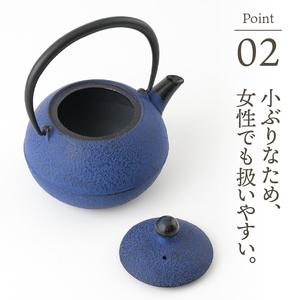 【ふるさと納税限定カラー】南部鉄器 鉄瓶 なごみ 0.6L 黒紺 伝統工芸品[Y0081] 岩手県奥州市 【用品】