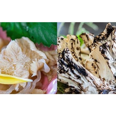 ふるさと納税 FYN9-448 山菜料理専門料亭「玉貴」月山 秋の香味箱（採れたてのキノコ料理・七茸芋煮・そばの詰合せ）2人前 2026年9月下旬から順.. 山形県西川町_2