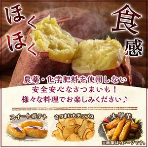 ふるさと納税 y329-A ≪通常サイズ(1個あたり100g~)≫湧水町産有機さつまいも「紅はるか」(計10kg)国産 九州産 鹿児島産 有機栽培 サツマイモ .. 鹿児島県湧水町