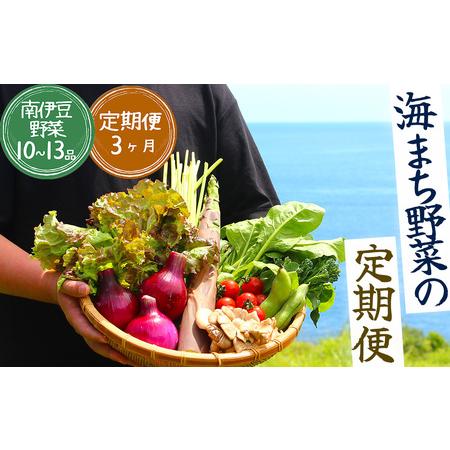 ふるさと納税 湯の花 旬の野菜セット3か月間の定期便 静岡県南伊豆町