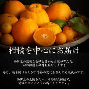 ふるさと納税 【定期便】旬の柑橘セット 12ヶ月の定期便　【 柑橘 】 静岡県南伊豆町_1