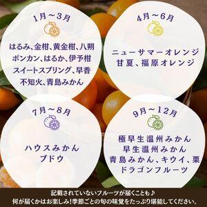 ふるさと納税 【定期便】旬の柑橘セット 12ヶ月の定期便　【 柑橘 】 静岡県南伊豆町_2
