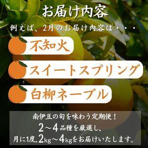 ふるさと納税 【定期便】旬の柑橘セット 12ヶ月の定期便　【 柑橘 】 静岡県南伊豆町_3