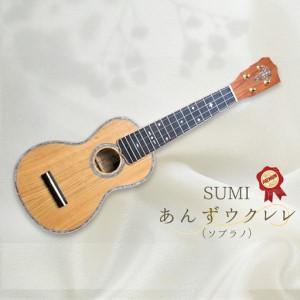 ふるさと納税 SUMIあんずウクレレプレミアム ( ソプラノ )|ウクレレ 長野県千曲市