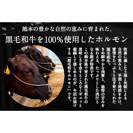 ふるさと納税 黒毛和牛ホルモン400g(200g×2袋) 有限会社トップルーフ《60日以内に出荷予定(土日祝除く)》 ブランド牛 黒毛和種 熊本県大津町｜furunavi｜02