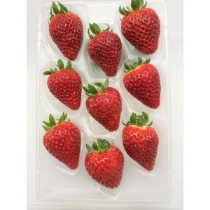 「超メルカリ市」 ふるさと納税 【定期便】安心安全な植物工場の美味しいイチゴ　魁　3ヶ月コース 栃木県足利市 【NAN7809914956】(27500円)