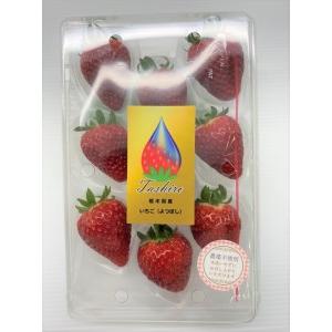 「超メルカリ市」 ふるさと納税 【定期便】安心安全な植物工場の美味しいイチゴ　魁　3ヶ月コース 栃木県足利市 【NAN7809914956】(27500円)