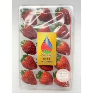 「超メルカリ市」 ふるさと納税 【定期便】安心安全な植物工場の美味しいイチゴ　魁　3ヶ月コース 栃木県足利市 【NAN7809914956】(27500円)