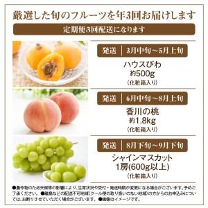 ふるさと納税 定期便 フルーツ 桃 びわ シャインマスカット 季節 フルーツ 果物 人気 厳選 高松市 定期便 [旬な季節に合計3回発送]定期便F【T006.. 香川県高松市 定期便 フルーツ