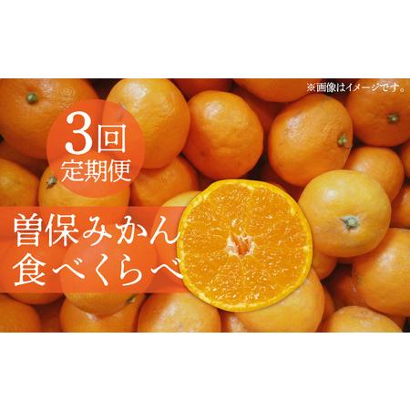 ふるさと納税 曽保みかん食べくらべ(3回定期便)フルーツ ふるーつ 果物 くだもの 三豊市[配送不可地域:北海道・沖縄県・離島]_M72-0009 [.. 香川県三豊市