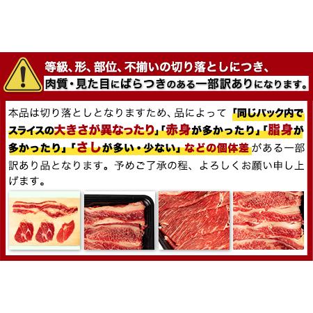 ふるさと納税 あか牛 牛肉 切り落とし 福袋 1.2kg (600gx2) 熊本県産 和牛 肉 赤身 バラ 冷凍《90日以内に順次出荷(土日祝除く)》 訳あり ご家.. 熊本県南阿蘇村|furunavi|03