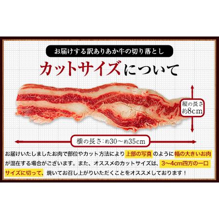 ふるさと納税 あか牛 牛肉 切り落とし 福袋 1.2kg (600gx2) 熊本県産 和牛 肉 赤身 バラ 冷凍《90日以内に順次出荷(土日祝除く)》 訳あり ご家.. 熊本県南阿蘇村|furunavi|04