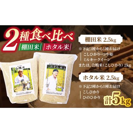 ふるさと納税 こだわりの米食べ比べセット約5kg2.5kg×2種【株式会社ひらど新鮮市場】[KAB022]/ 長崎 平戸 米 精米 ひのひかり こしひかり .. 長崎県平戸市｜furunavi｜05