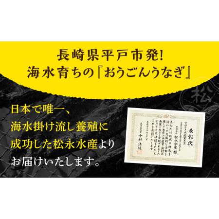 ふるさと納税 長崎県産おうごんうなぎ約300g2尾-3尾【（有）松永水産】[KAB110]/ 長崎 平戸 魚介類 魚 うなぎ 鰻 ウナギ うなぎ 蒲焼 うなぎ か.. 長崎県平戸市｜furunavi｜03