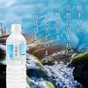 ふるさと納税 【3回定期便】 水 ミネラルウォーター 天然水 500ml 48本 お水 飲料水 軟水で飲みやすい 備蓄品としてもオススメ F7Z-418 栃木県足利市の画像
