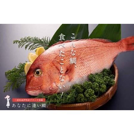 ランキング総合1位 ふるさと納税 冷蔵 あなたに逢い鯛 活きジメ真鯛 水洗い１kg 1 2kg 鯛 真鯛 塩焼き 鯛めし 煮付け 伊勢志摩 三重県南伊勢町 Wantannas Go Id