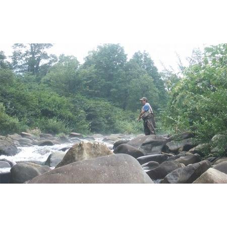 ふるさと納税 遊漁年券B渓流魚等 新潟県魚沼市 