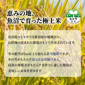 ふるさと納税 【特別栽培米】 お米アドバイザー厳選 魚沼産 コシヒカリ （精米） 5kg 3ヶ月 連続 （ 定期便 米 精米 白米 お米 こめ コメ こしひ.. 新潟県魚沼市の画像