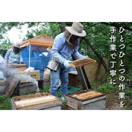 免税品購入 ふるさと納税 さいき養蜂園　　天然ピュアはちみつ　アカシア３００ｇ　2本 新潟県南魚沼市